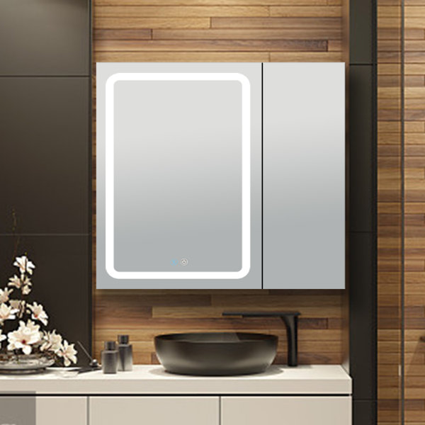 Wrought Studio 30X30 Inch Aluminum Surface Mount Frameless 2 Doors